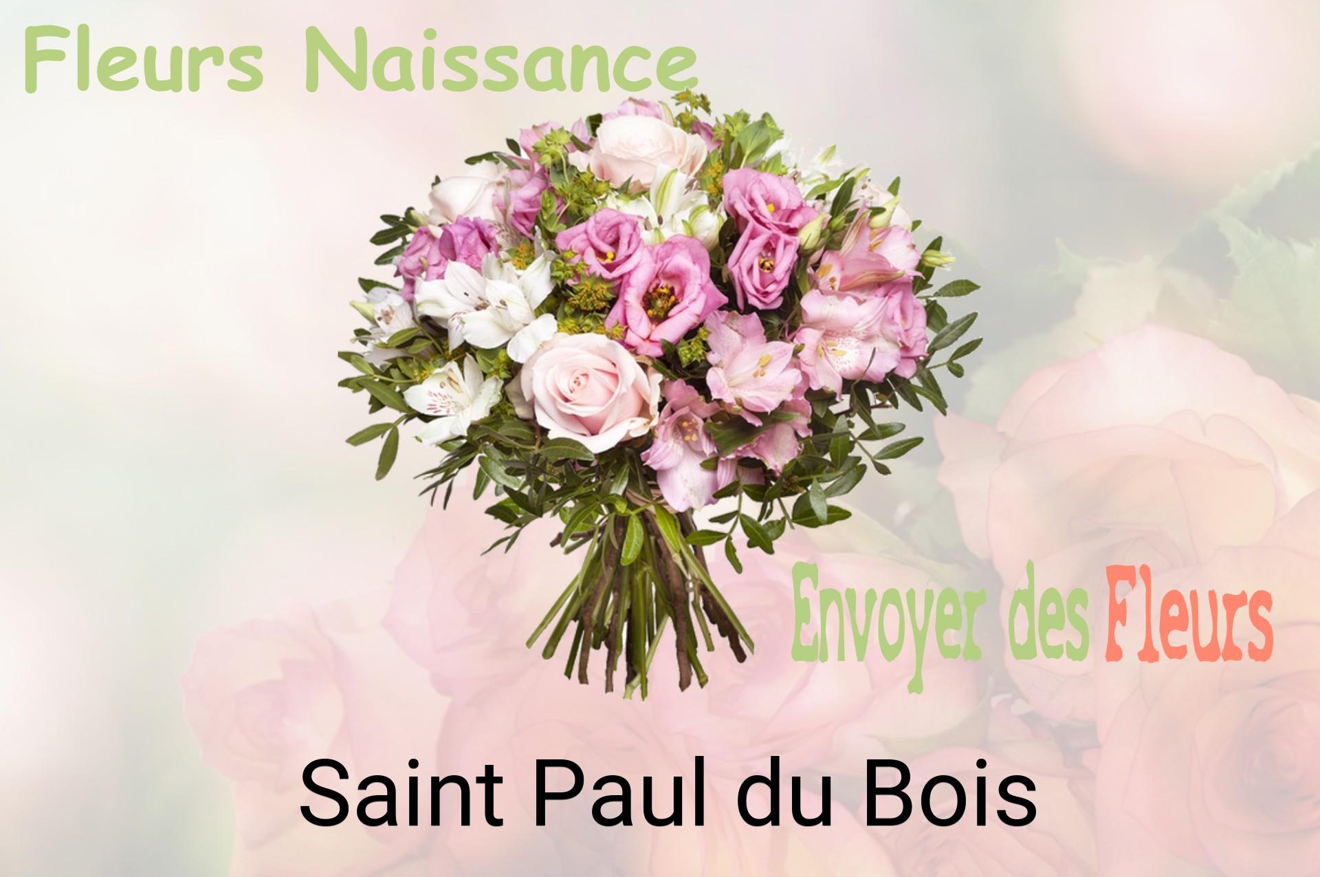 Bouquet de fleurs de naissance livré à Saint-Paul-du-Bois